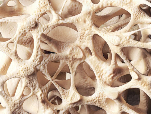 Calcium + Magnesium Profile