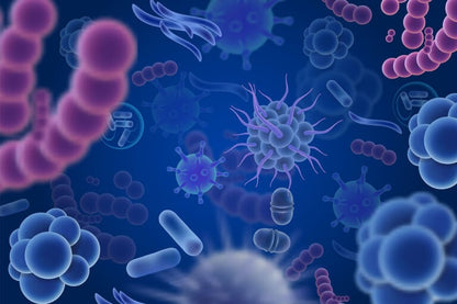 Perfil del microbioma GI360™