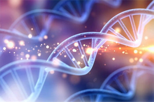 DNA Methylation Pathway Profile - Buccal Swab