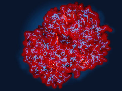 Porphyrins Profile